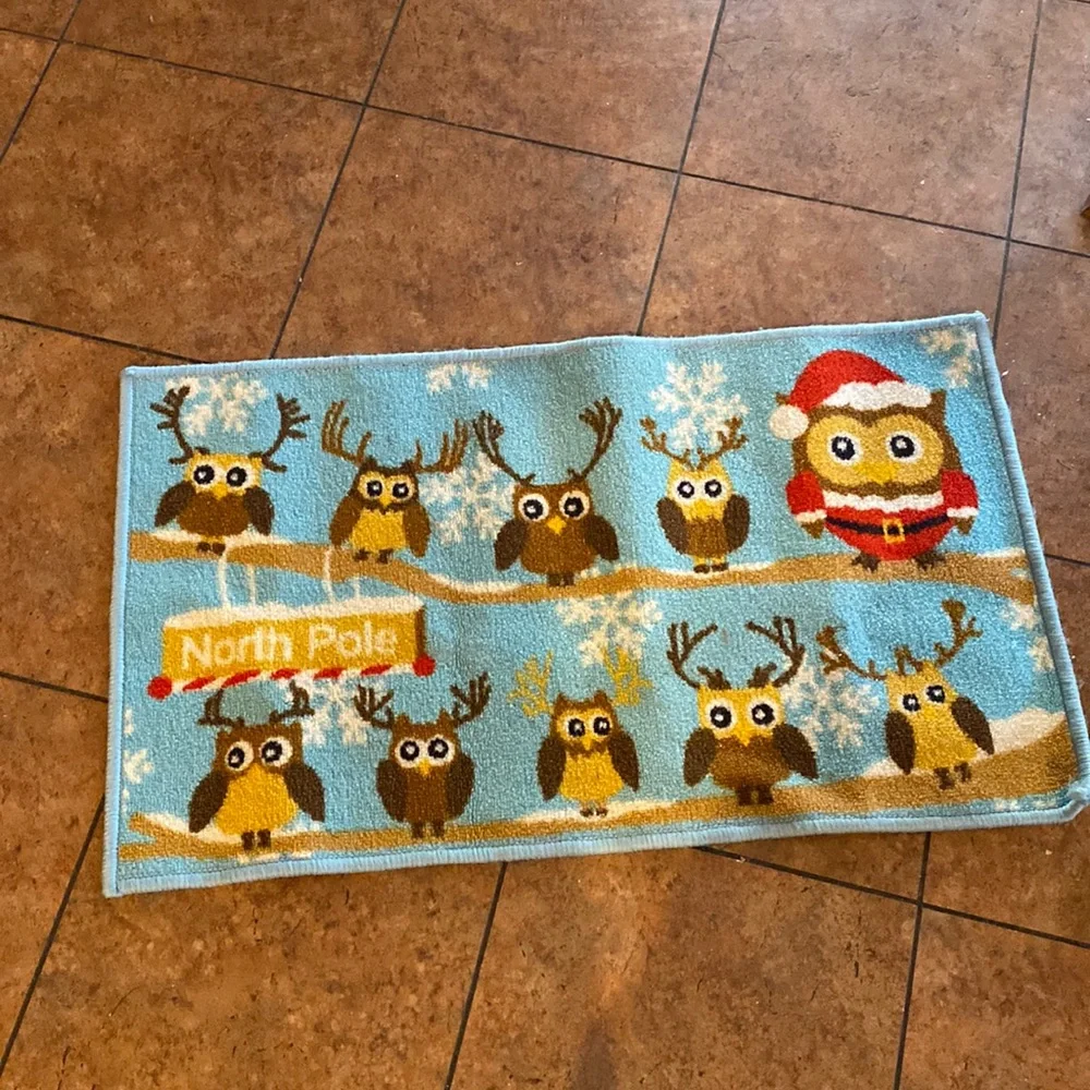 🎄Super cute Owl North Pole rug! 🎄